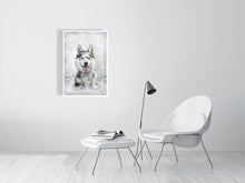 Load image into Gallery viewer, 5216455-1669415