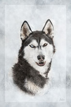 Load image into Gallery viewer, Indie