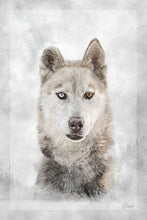 Load image into Gallery viewer, Diesel