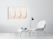 Load image into Gallery viewer, 6696161-1669564