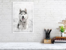 Load image into Gallery viewer, 5216451-1190588