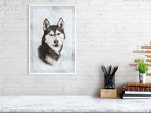 Load image into Gallery viewer, 5216448-1190580