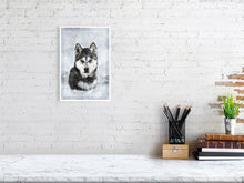 Load image into Gallery viewer, 5216447-1669434