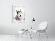 Load image into Gallery viewer, 5216449-1190586