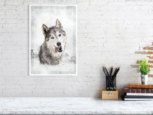 Load image into Gallery viewer, 5216449-1190584