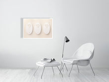 Load image into Gallery viewer, 6696161-1669560