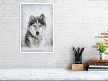 Load image into Gallery viewer, 5216444-1190572