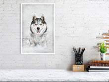 Load image into Gallery viewer, 5216452-1669401