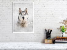 Load image into Gallery viewer, 5216453-1190596