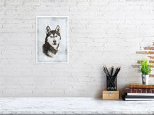 Load image into Gallery viewer, 5216448-1190579