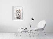 Load image into Gallery viewer, 5216445-1190577