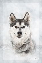 Load image into Gallery viewer, Aurora