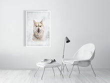 Load image into Gallery viewer, 5216454-1669428