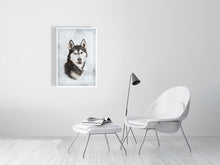 Load image into Gallery viewer, 5216448-1190581