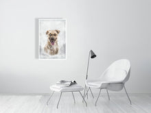 Load image into Gallery viewer, 5216443-1190569