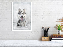 Load image into Gallery viewer, 5216455-1669413