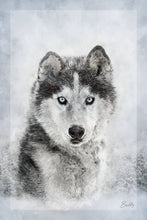 Load image into Gallery viewer, Buddy