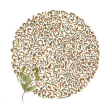 Load image into Gallery viewer, 6696168