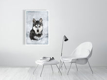 Load image into Gallery viewer, 5216447-1669439