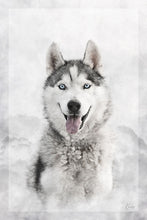 Load image into Gallery viewer, Koda