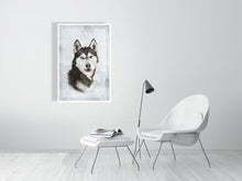 Load image into Gallery viewer, 5216448-1190582