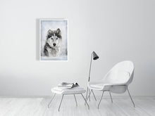 Load image into Gallery viewer, 5216444-1190573