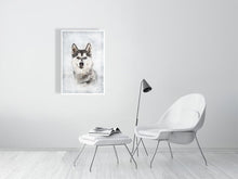 Load image into Gallery viewer, 5216442-1190565