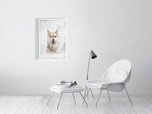 Load image into Gallery viewer, 5216454-1669427