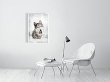 Load image into Gallery viewer, 5216449-1190585