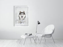 Load image into Gallery viewer, 5216452-1669403