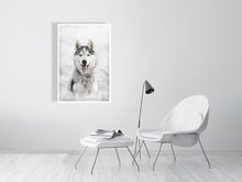 Load image into Gallery viewer, 5216451-1190590