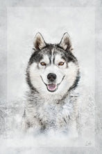 Load image into Gallery viewer, 5216452