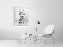 Load image into Gallery viewer, 5216455-1669417