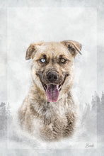 Load image into Gallery viewer, Bindie