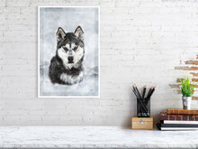 Load image into Gallery viewer, 5216447-1669435