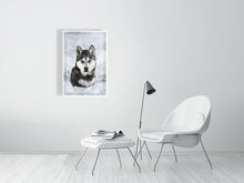 Load image into Gallery viewer, 5216447-1669437