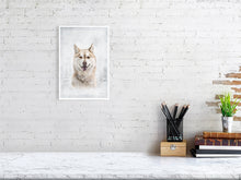 Load image into Gallery viewer, 5216454-1669421