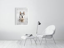 Load image into Gallery viewer, 5216453-1190597